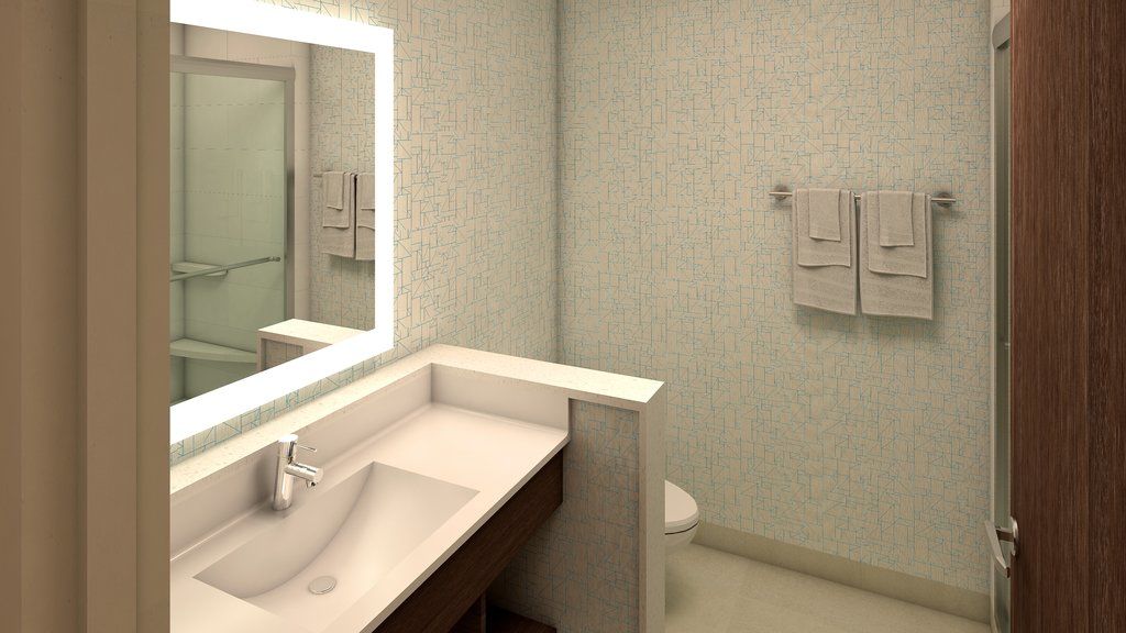 Hotel Express & Orlando- Buena Vista By Ihg